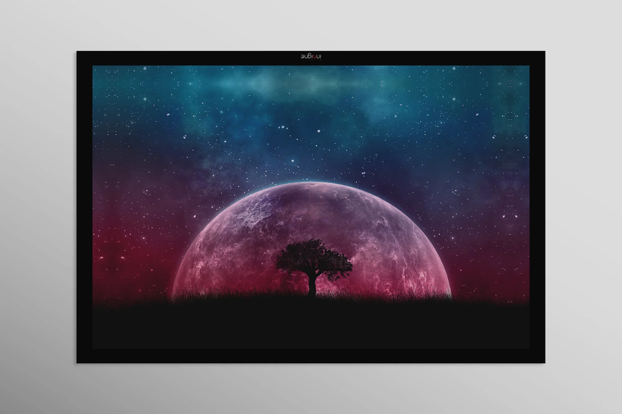 Thumbnail 12